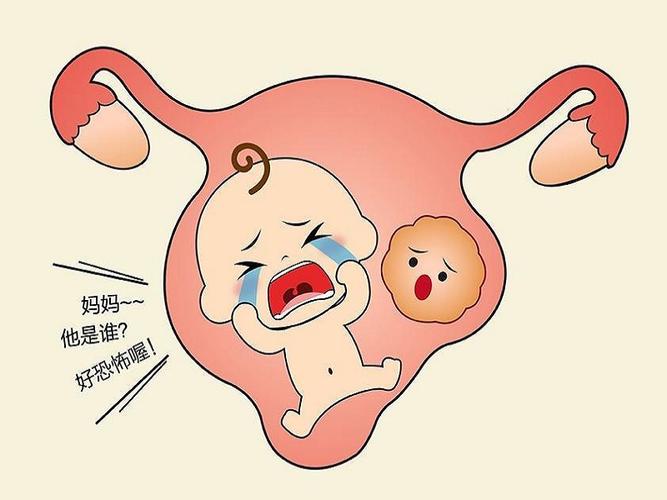 代生孩子有什么风险_代生孩子:风险大揭秘