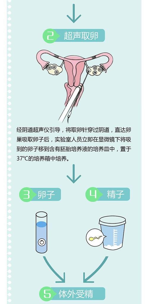 代卵试管代怀机构可靠吗(代卵试管代怀机构的可靠性调查)